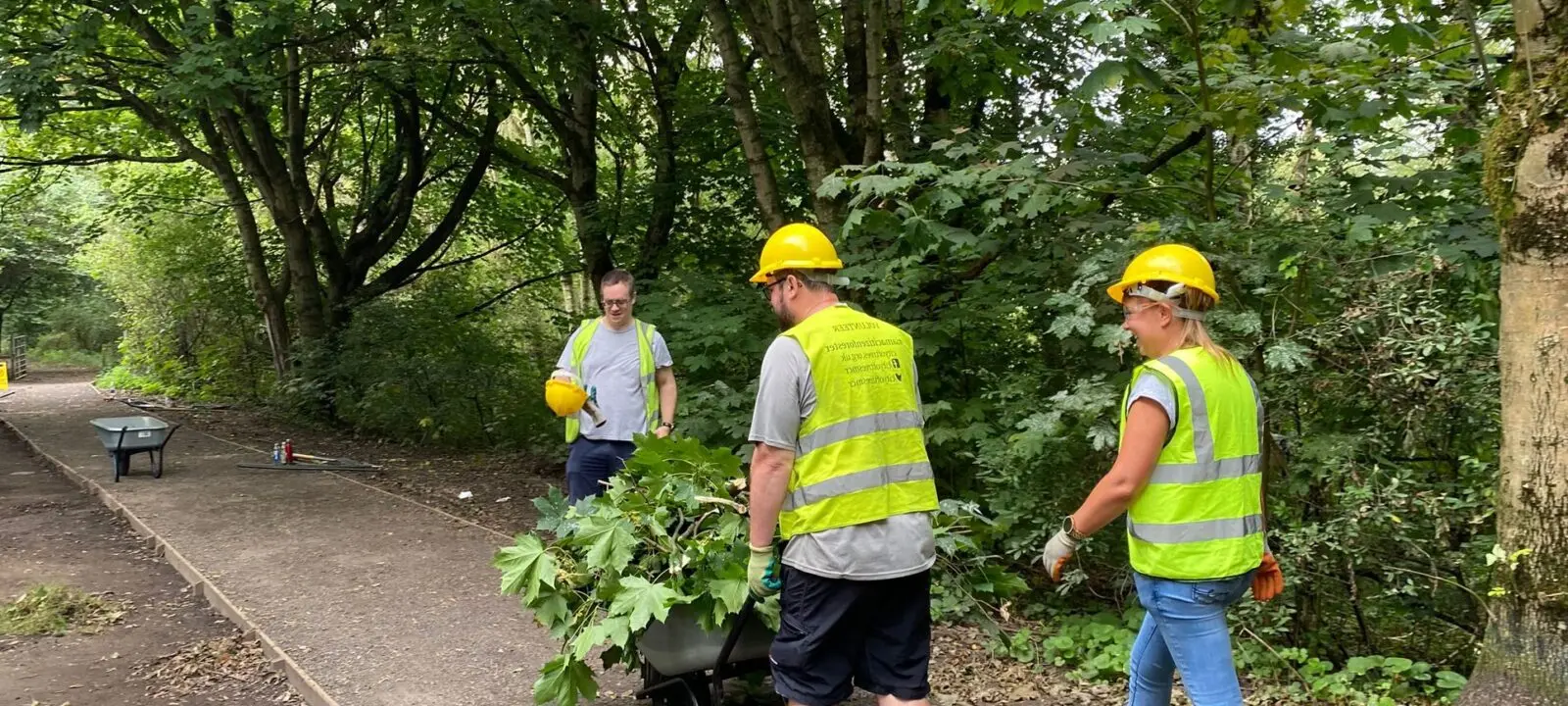 Orman Yetiştirme ve Bakım İşçisi (Seviye-3)